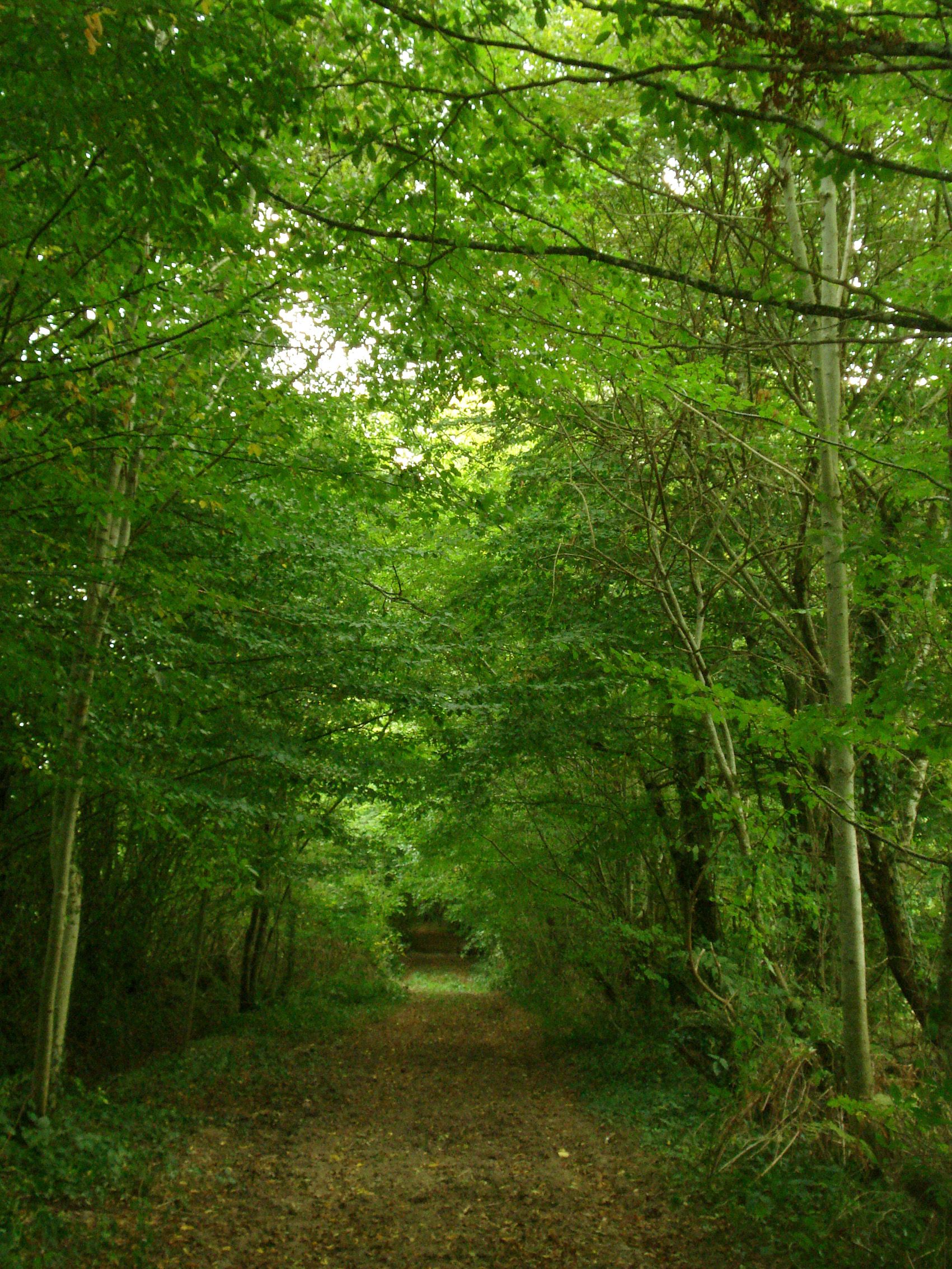 Itinéraire de la Croix Robert, Saint-Georges-les-Landes