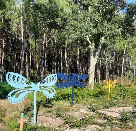 Boucle à vélo Soustons - Azur - Messanges - Vieux-Boucau, Soustons - photo 4