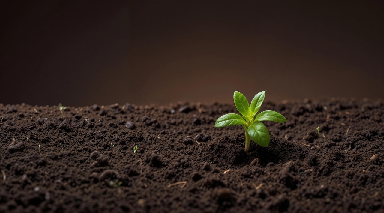 Un petit mot à planter