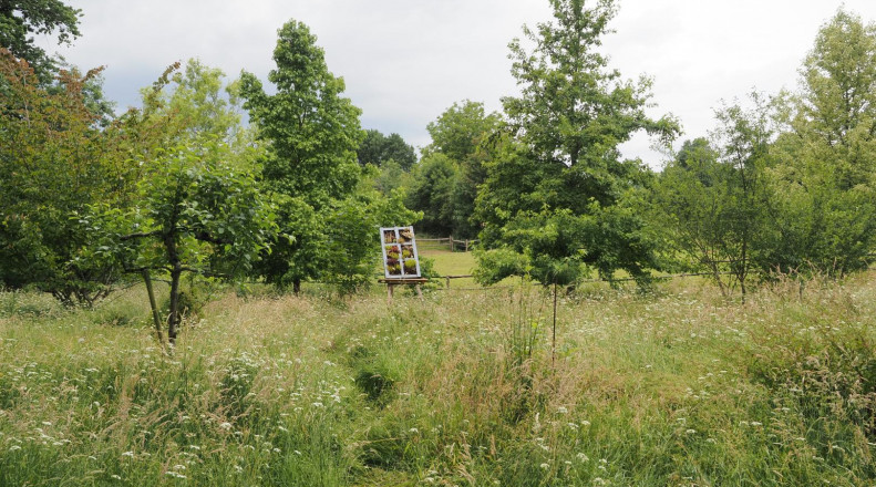 La Berlière - Gîte nature, Saint-Pardoux-Soutiers - photo 16