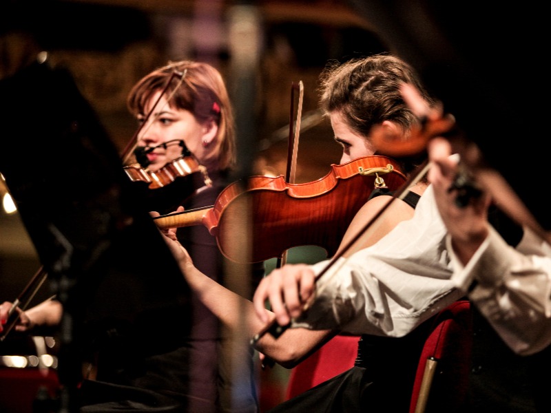 Celti'Teuillac, Teuillac - photo 2