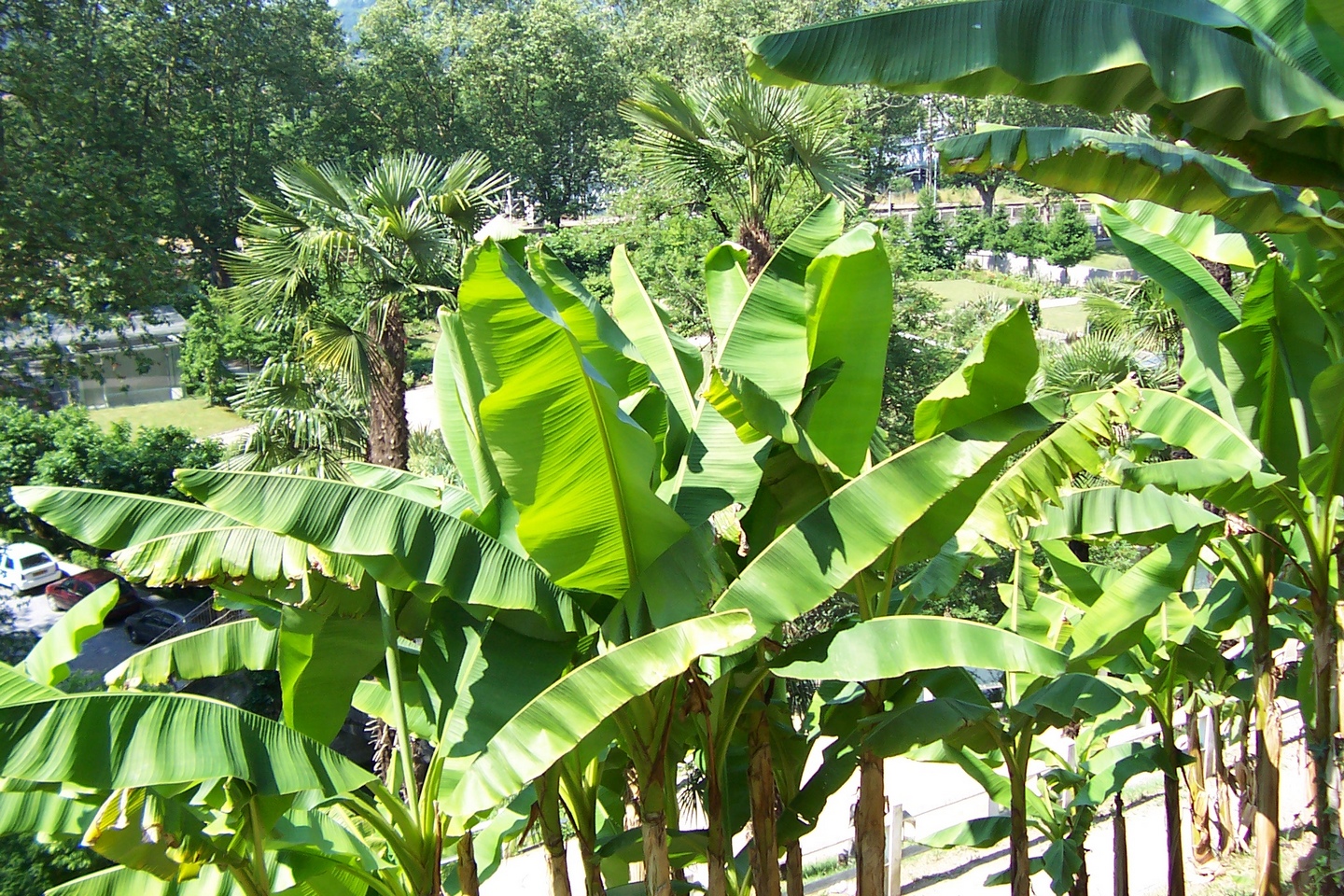 Les Jardins Joantho