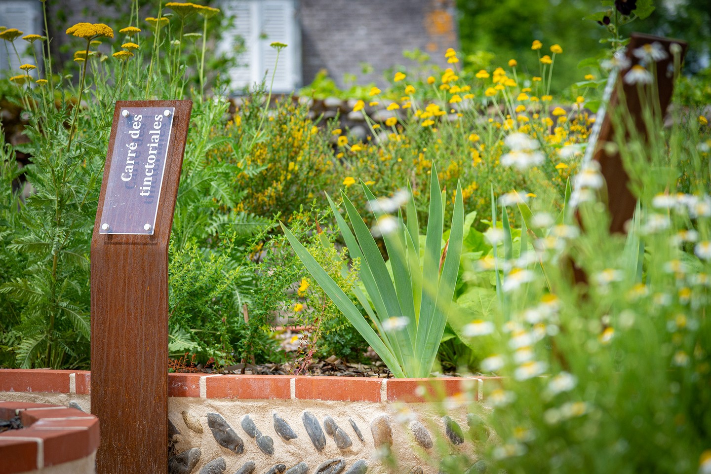 Jardin médiéval de la Cité médiévale de Lescar, Lescar - photo 3