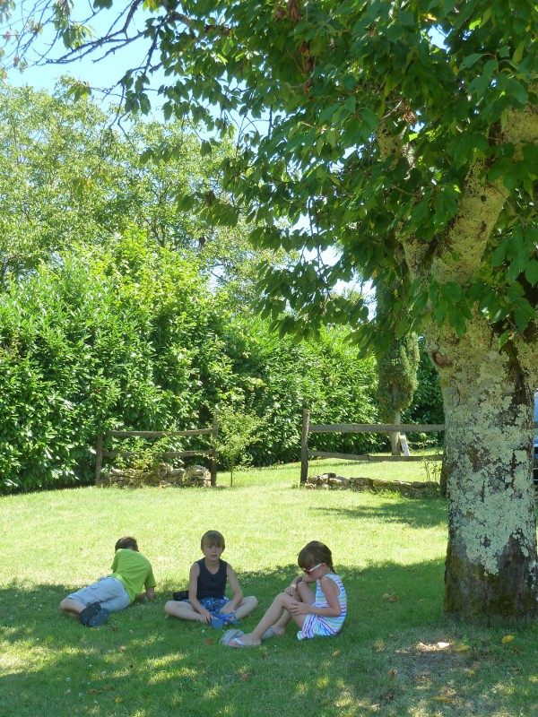 La Maison Douce, Beaumontois en Périgord - photo 3