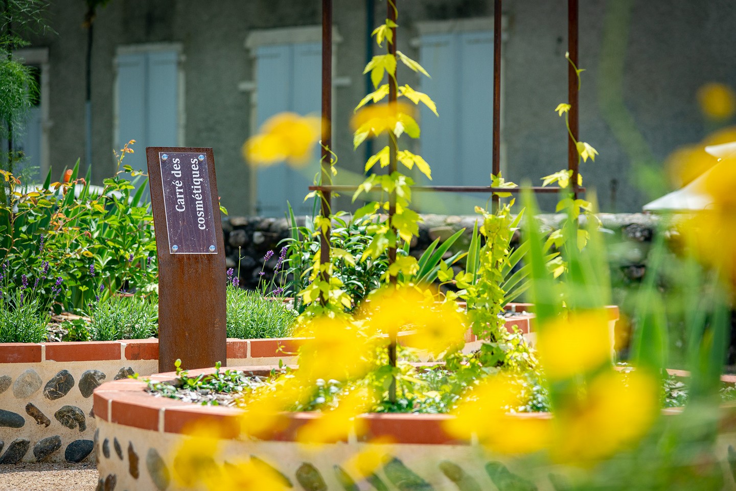Place de l'Evêché de la cité médiévale de Lescar, Lescar - photo 4