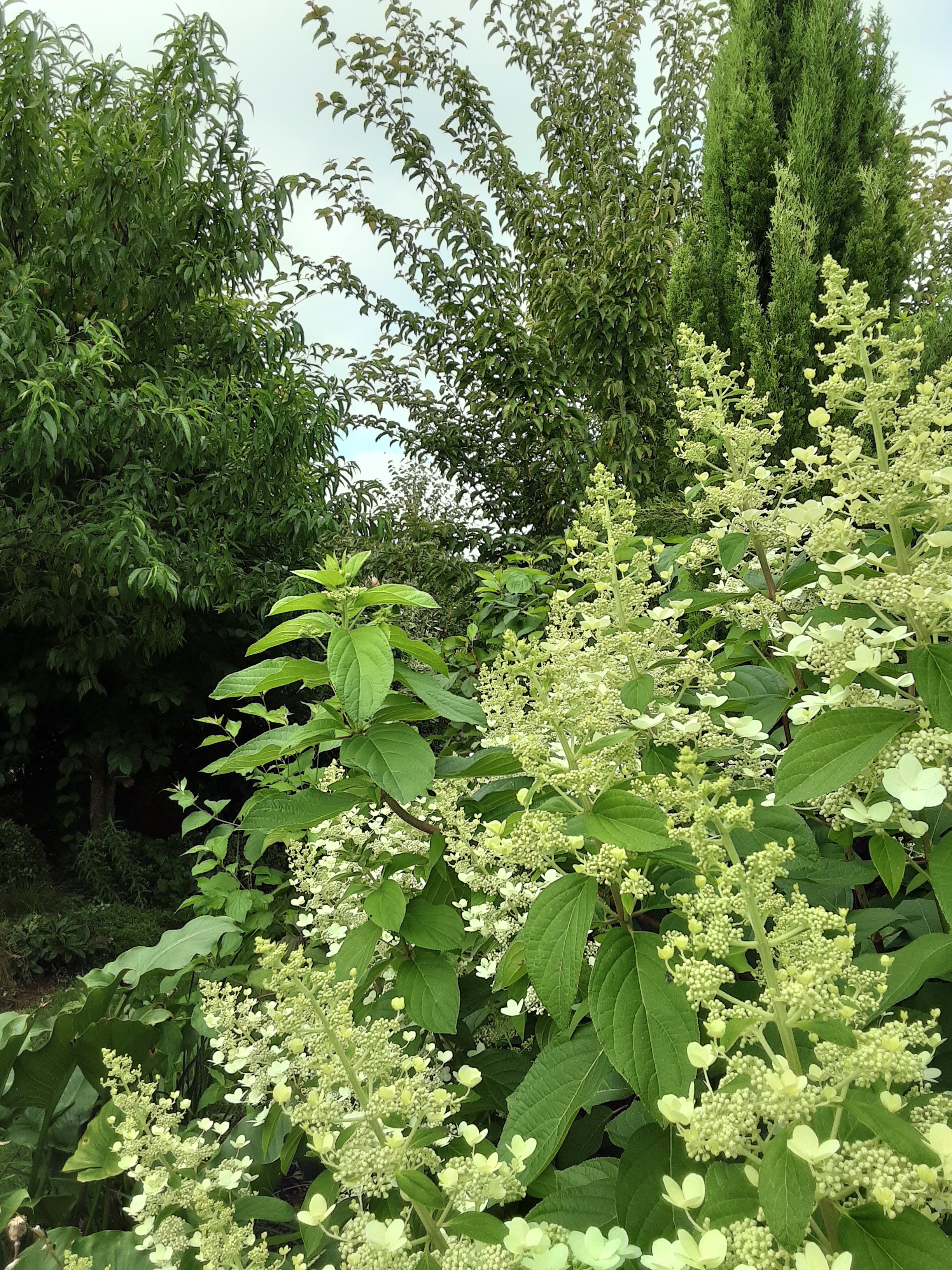 Jardin Marguerite, Linxe - photo 5