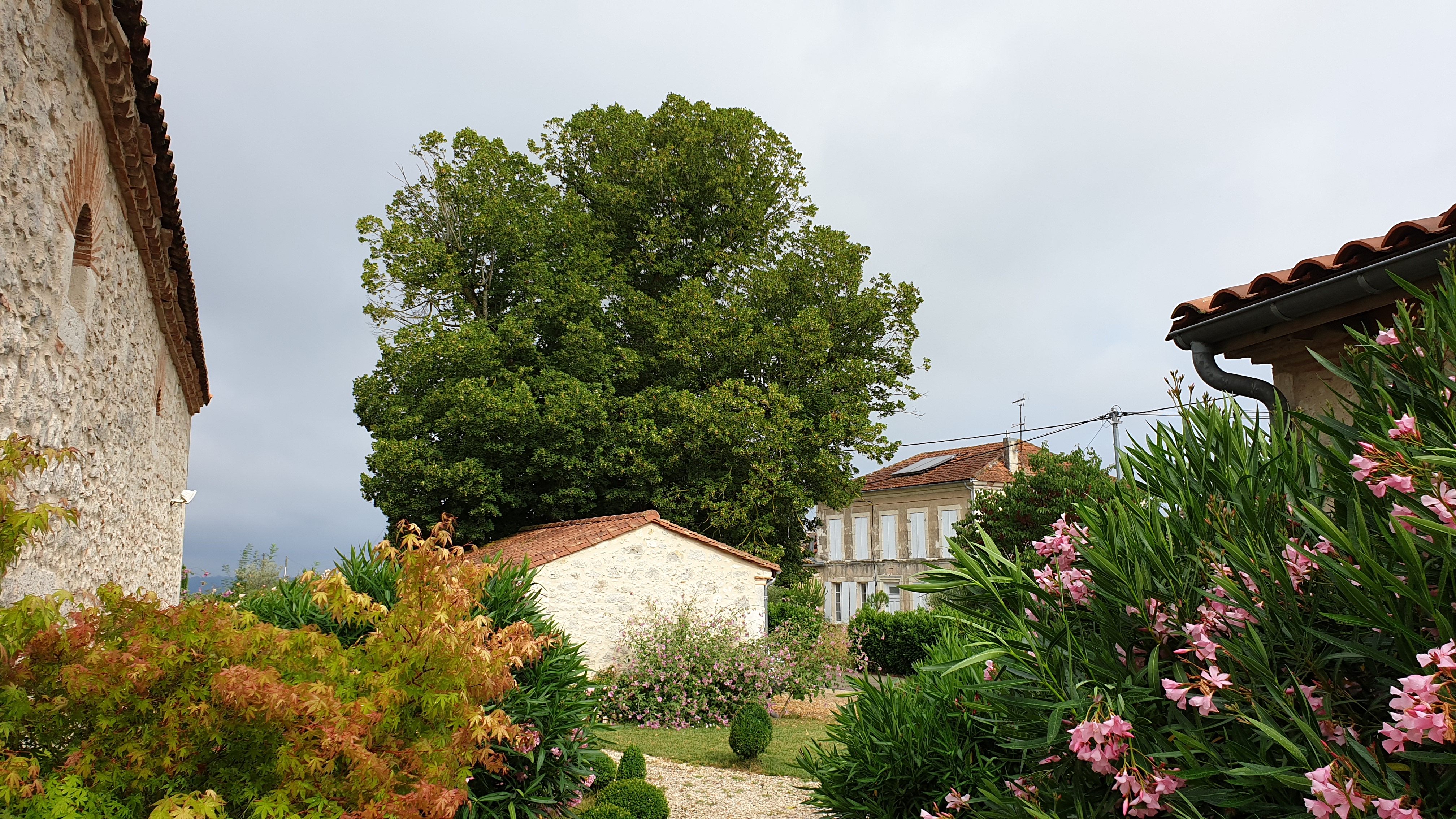 Gîte Kiwi, Bourran - photo 10