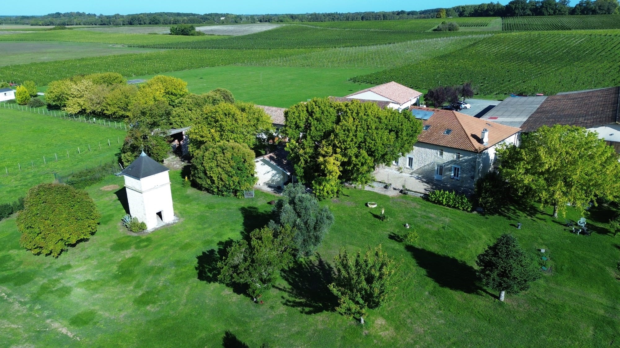 Château Pierre de Montignac : gite Tanins