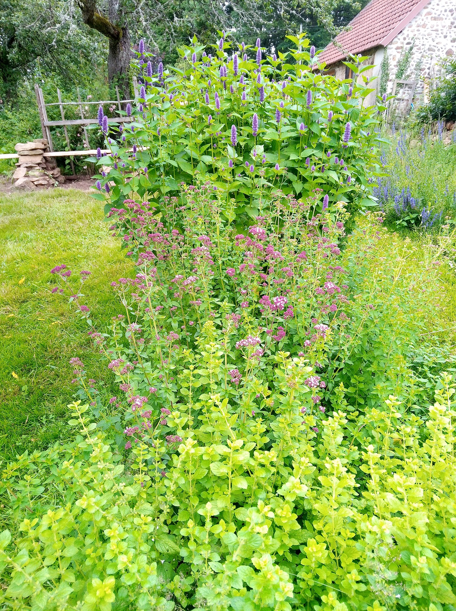 Au jardin des harmonies, Saint-Sébastien - photo 2