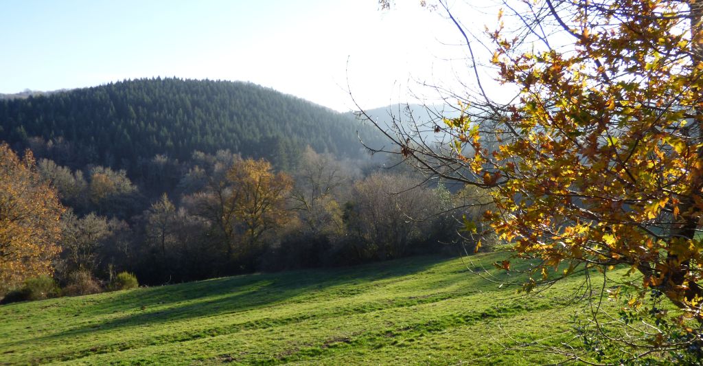 Chambre d'hôtes " Le Shamballa ", Le Monteil-au-Vicomte - photo 9