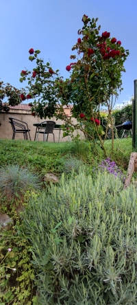 Le sas de Fanny, Limoges - photo 5