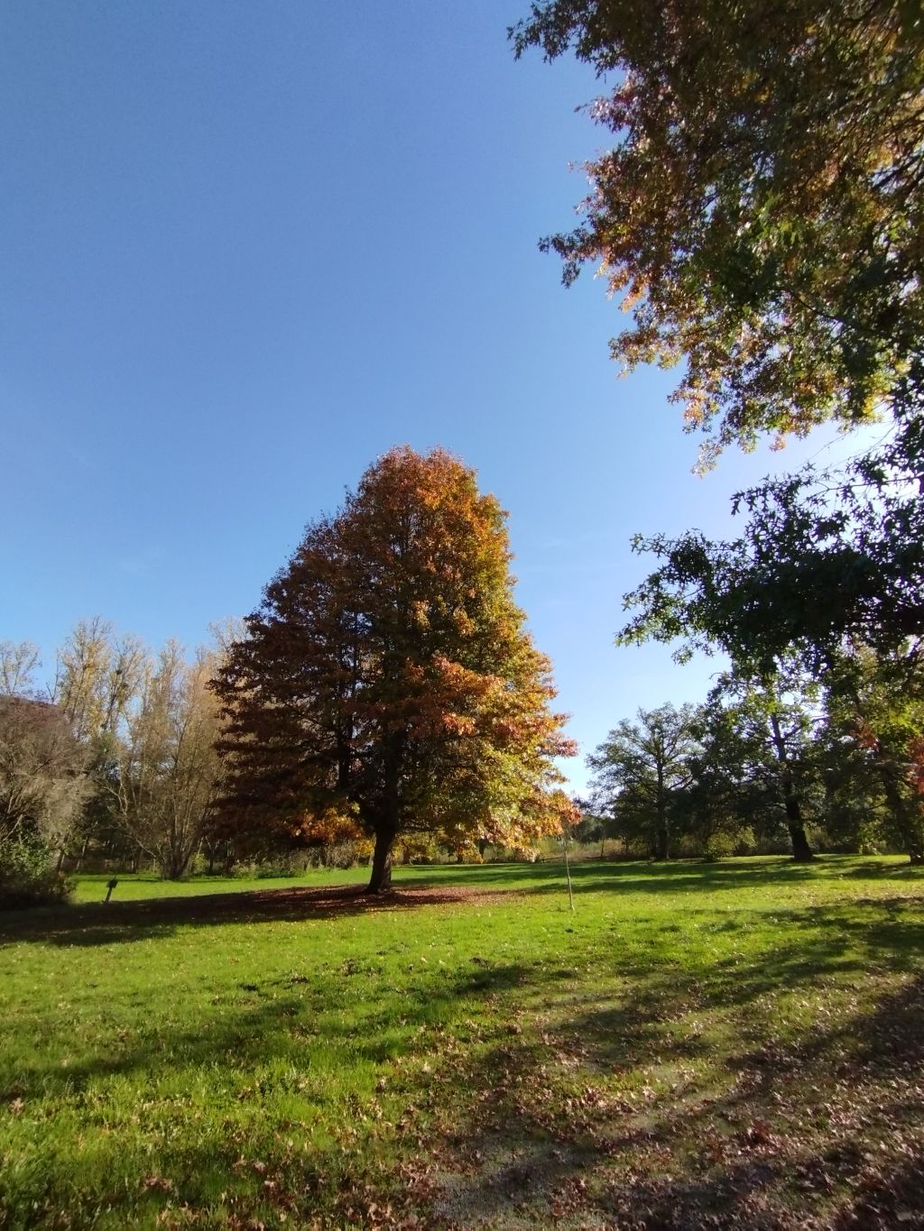 Centre spirituel Notre Dame du Moulin, Moutier-d'Ahun - photo 6
