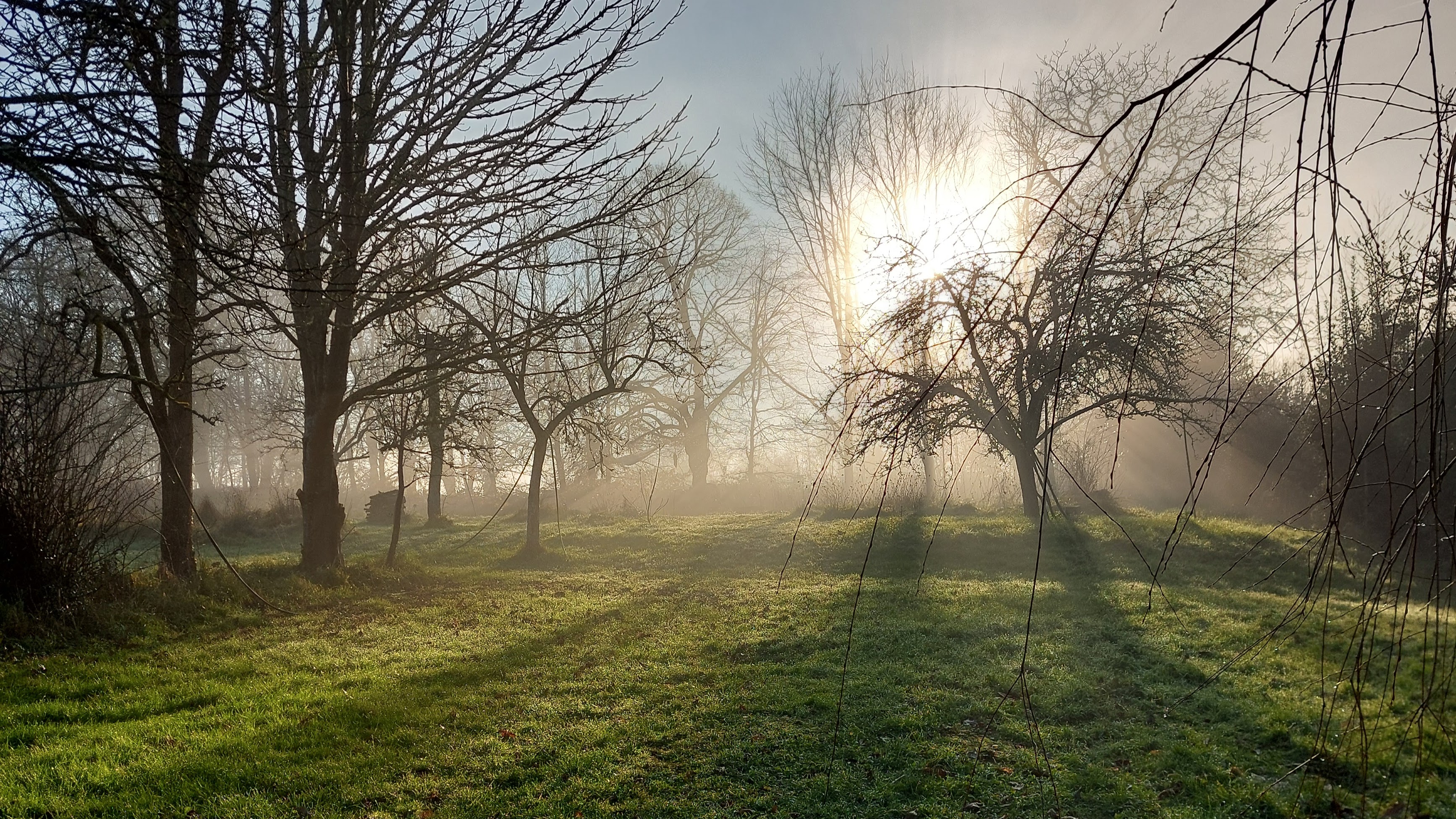 Gite - Ô vert à soi - photo 4