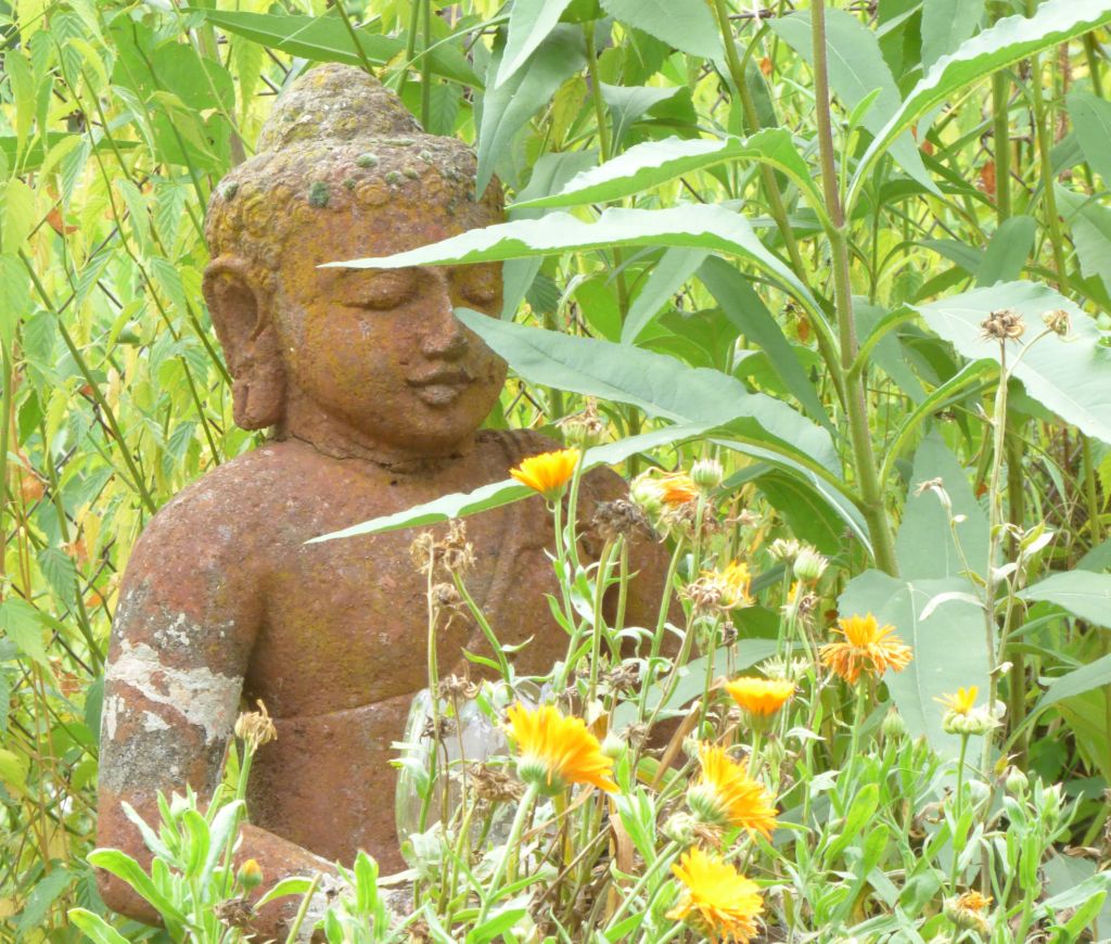 Chambre d'hôtes " Le Shamballa ", Le Monteil-au-Vicomte - photo 12