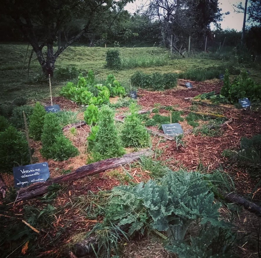 Maïana aromatiques