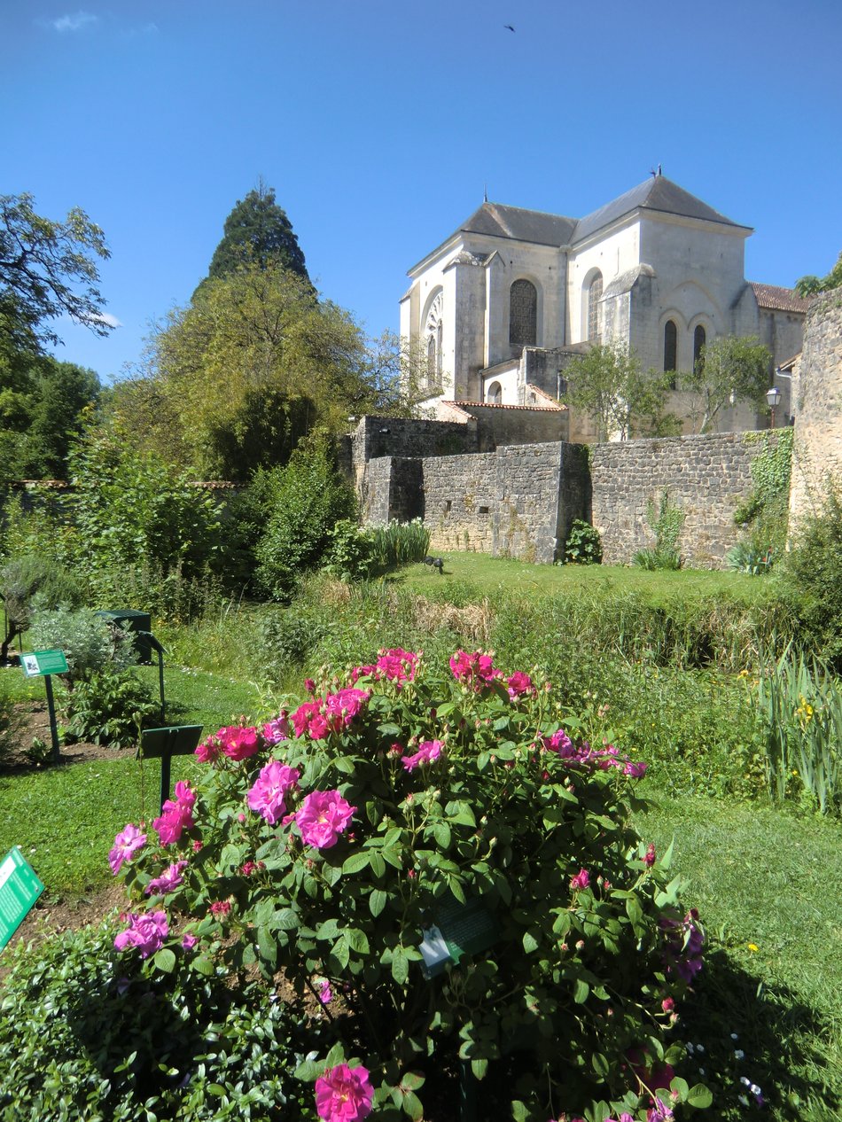 Jardin d'Inspiration Médiévale de Nouaillé-Maupertuis, Nouaillé-Maupertuis - photo 6