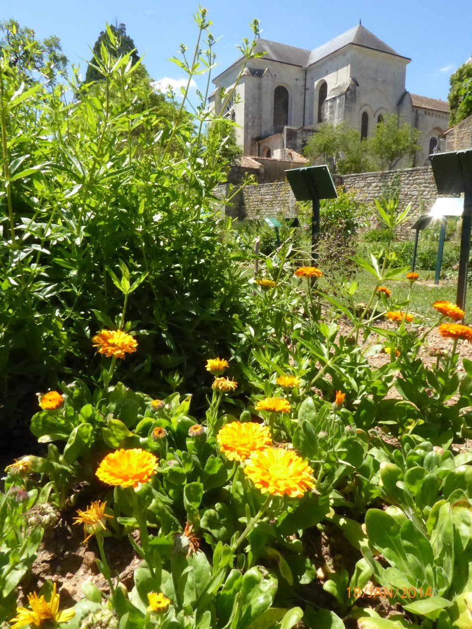 Jardin d'inspiration médiévale de Nouaillé-Maupertuis