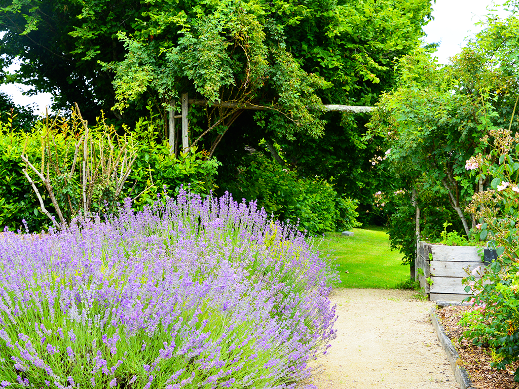Jardin de l'An Mil à nos jours, Rilhac-Lastours - photo 4