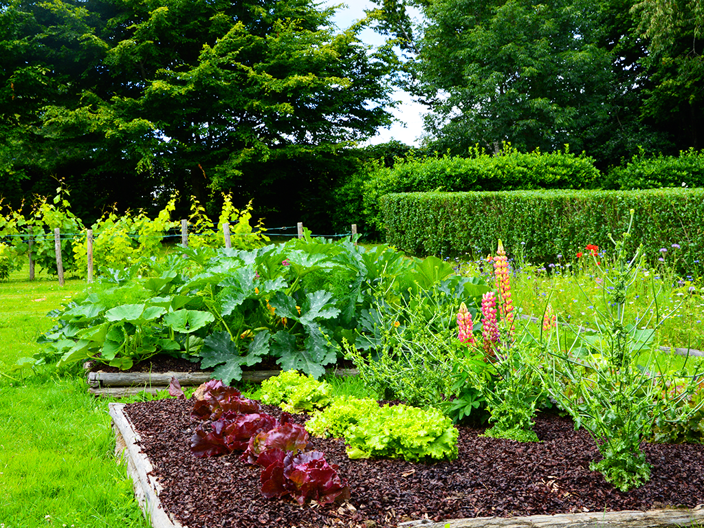 Jardin de l'An Mil à nos jours, Rilhac-Lastours - photo 6