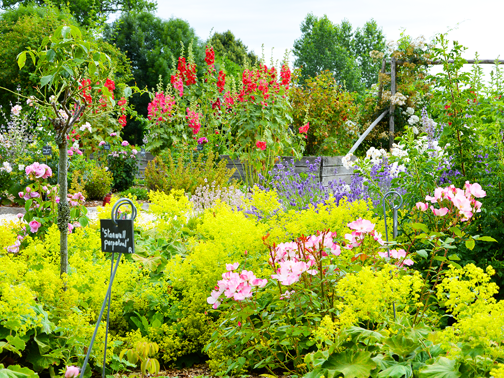 Jardin de l'An Mil à nos jours, Rilhac-Lastours - photo 3