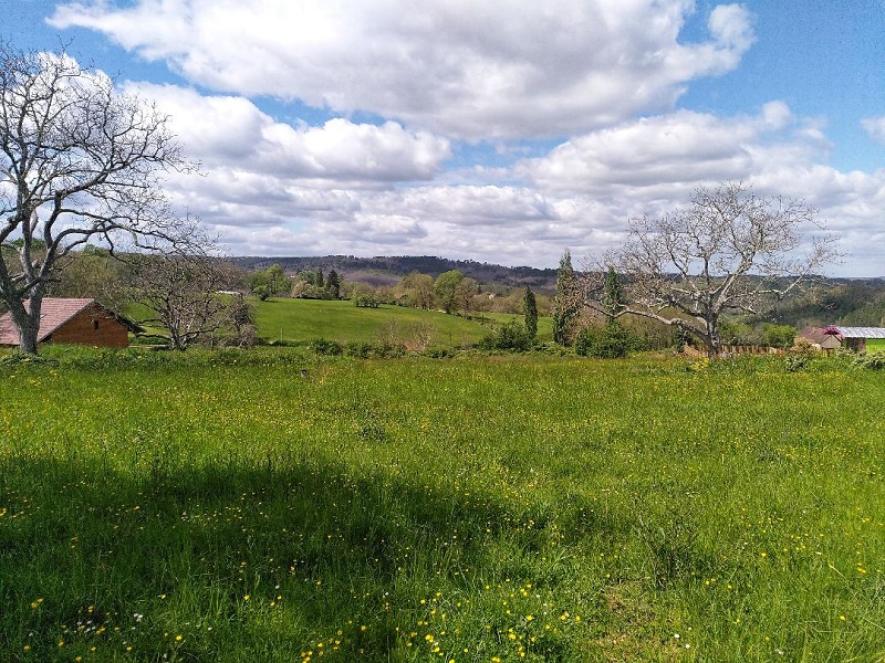 Chalet Kozy - Le Jardin de Lyno, Pays de Belvès - photo 8