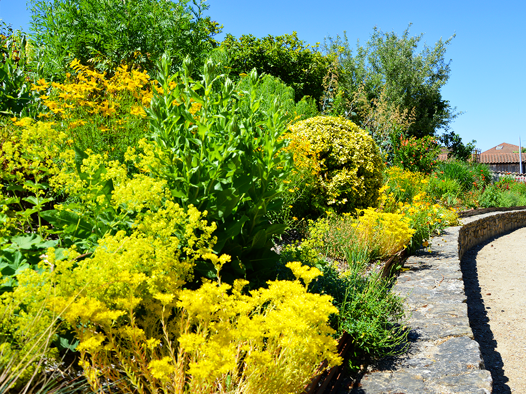 Jardin des Sens, Nexon - photo 6