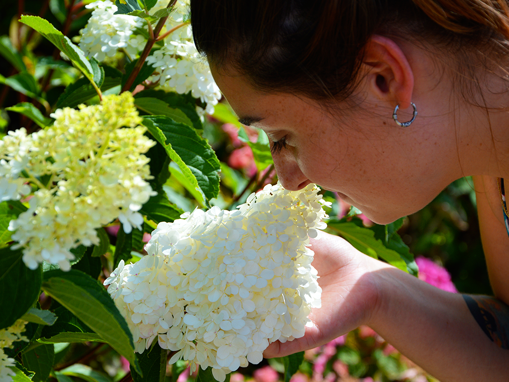 Jardin des Sens, Nexon - photo 2