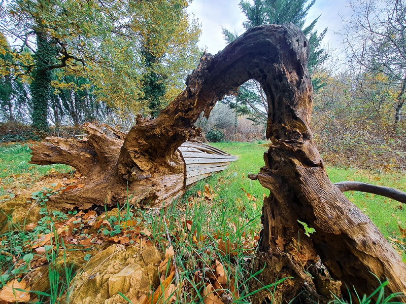 Le jardin d'hélys-oeuvre, Saint-Médard-d'Excideuil - photo 6