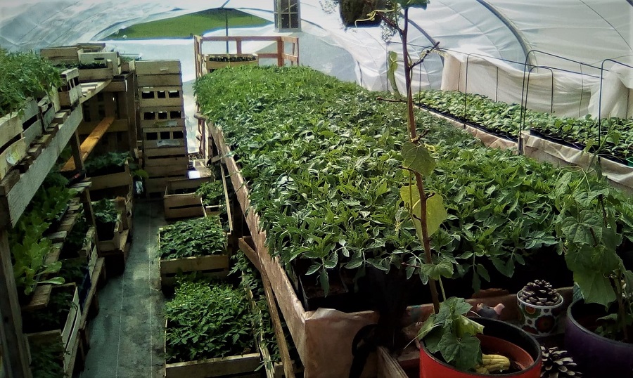 Le Jardin Enchampté — photo 3