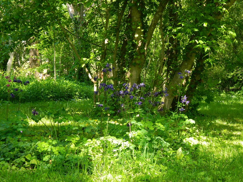 Aux Jardins du Lardot, Fougueyrolles - photo 5