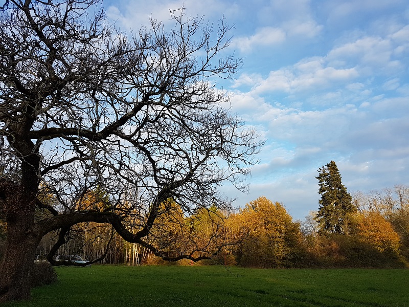 Etat(s) des lieux au jardin d'hélys-oeuvre, Saint-Médard-d'Excideuil - photo 3