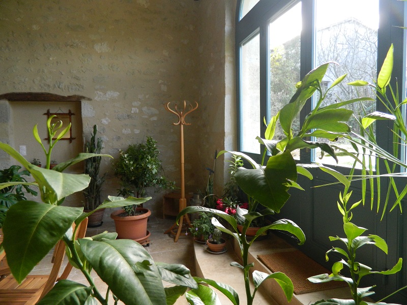 Aux Jardins du Lardot, Fougueyrolles - photo 3