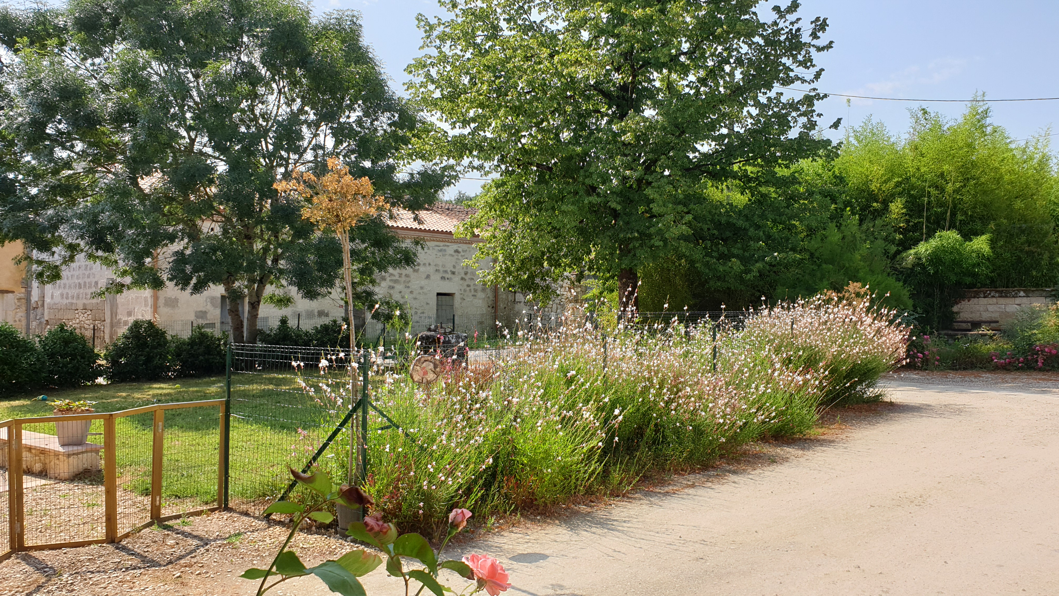 Gîte Mara des Bois, Bourran - photo 4