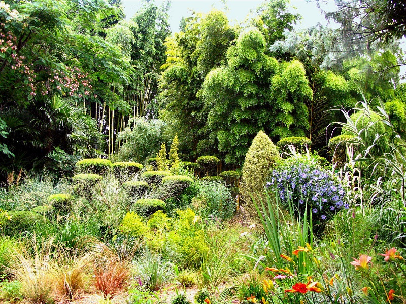 Rendez-vous aux jardins | Plan Buisson — visuel événement