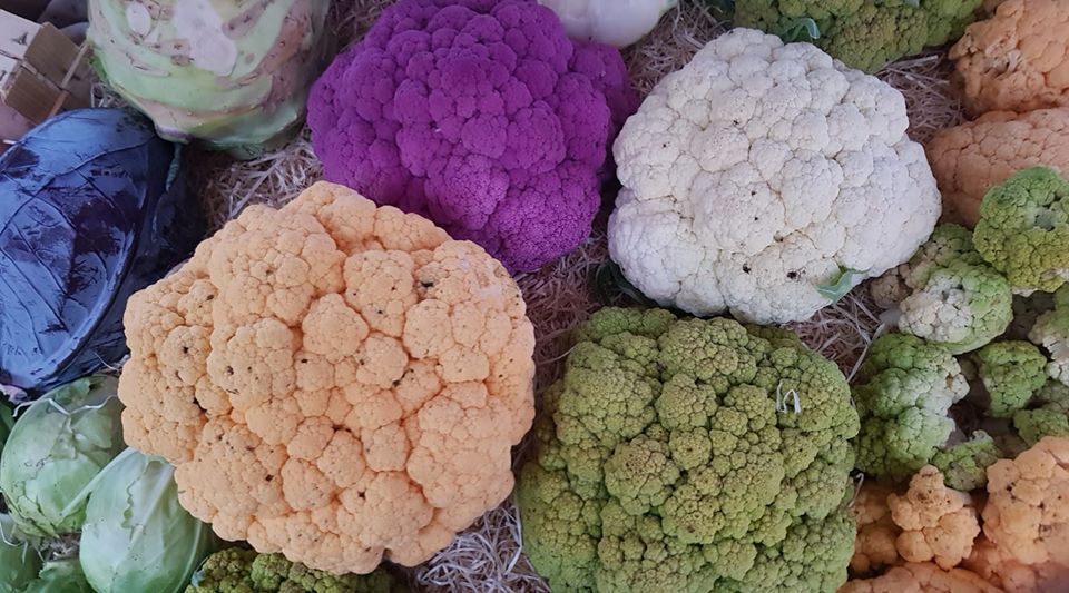 Marché traditionnel d'Aiguillon - photo 2