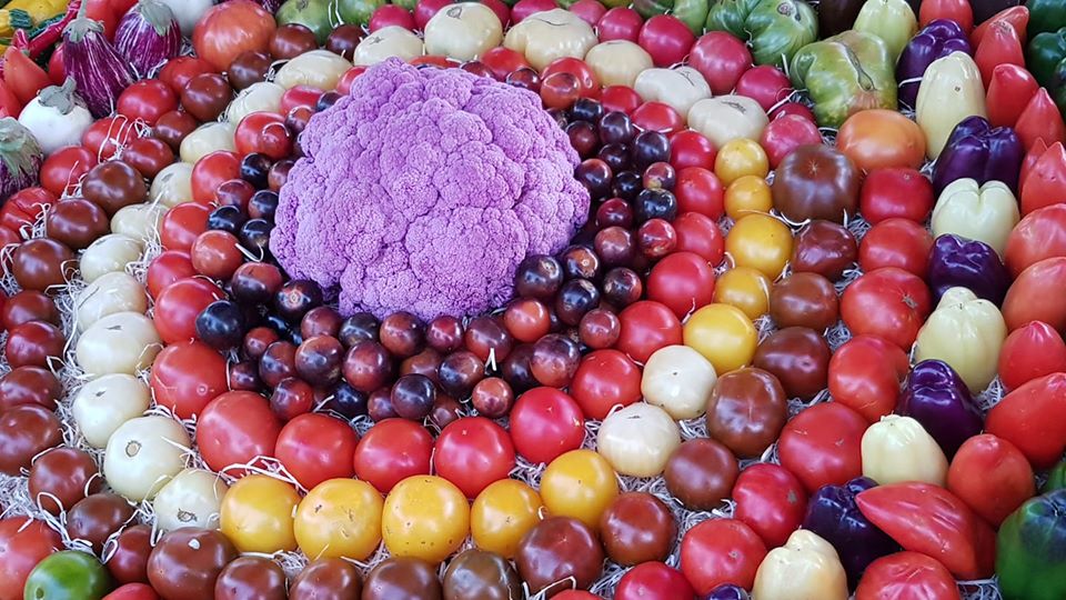 Le Jardin de Puymasson - photo 2