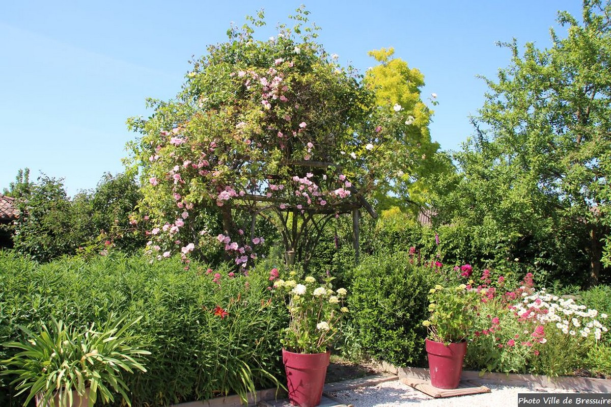 Jardin de Riparfonds, Bressuire - photo 3