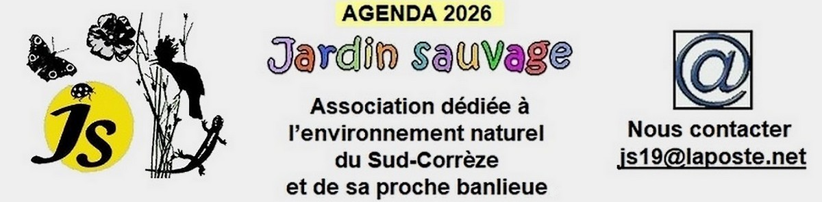 Visuel évènement