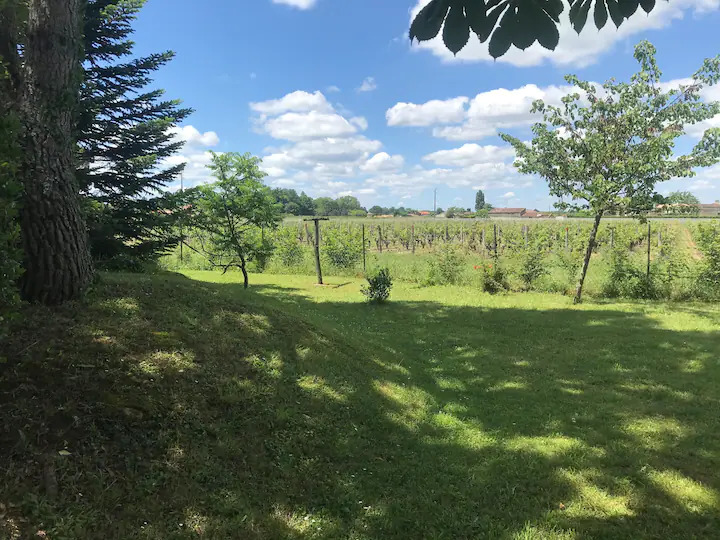 Gîte Simon Carretey, Barsac - photo 9