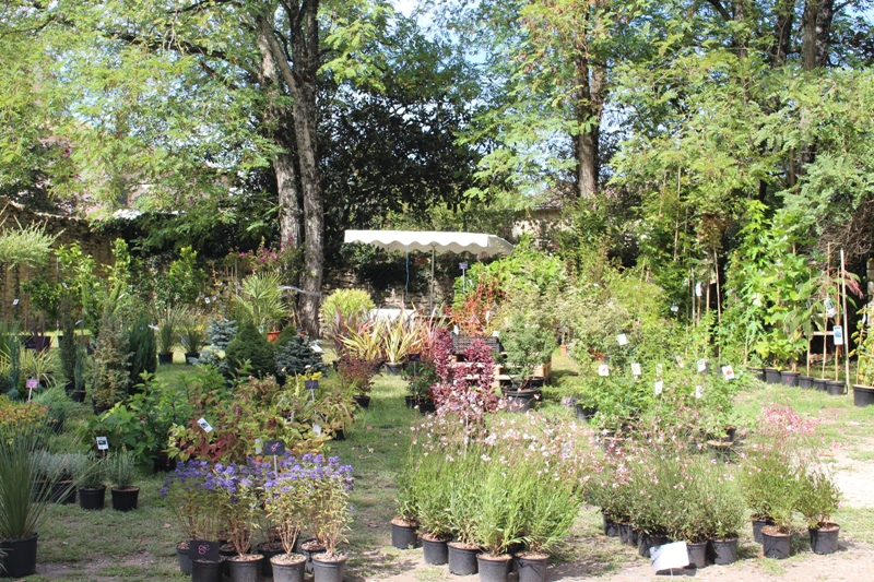 Troc-plantes à la citadelle de Blaye, Blaye - photo 3