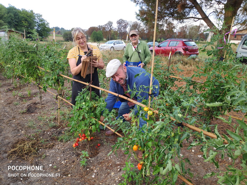 Association Jardins de Tomates — photo 3