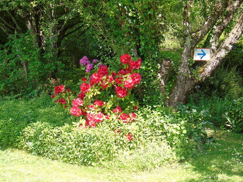 Les Jardins Tranquilles, Brantôme en Périgord - photo 5