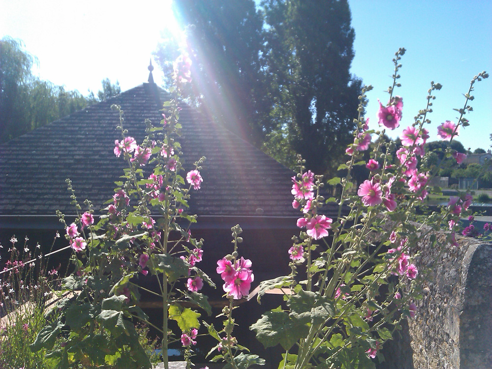 Église Saint-Jean-Baptiste, Jazeneuil - photo 2