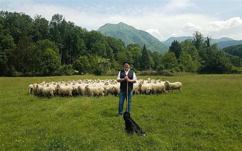Ferme Jean-Noël CASTAING