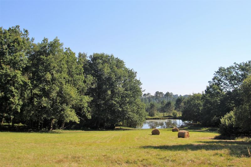 Domaine Jean du Claud Studio, Église-Neuve-d'Issac - photo 10