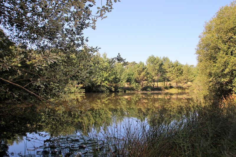 Domaine Jean du Claud Studio, Église-Neuve-d'Issac - photo 9