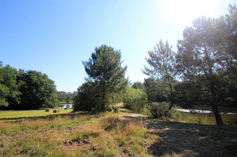 Domaine Jean du Claud Studio, Église-Neuve-d'Issac - photo 8