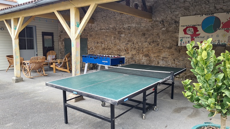 Gîte La Cour aux Tilleuls, Voulmentin - photo 29