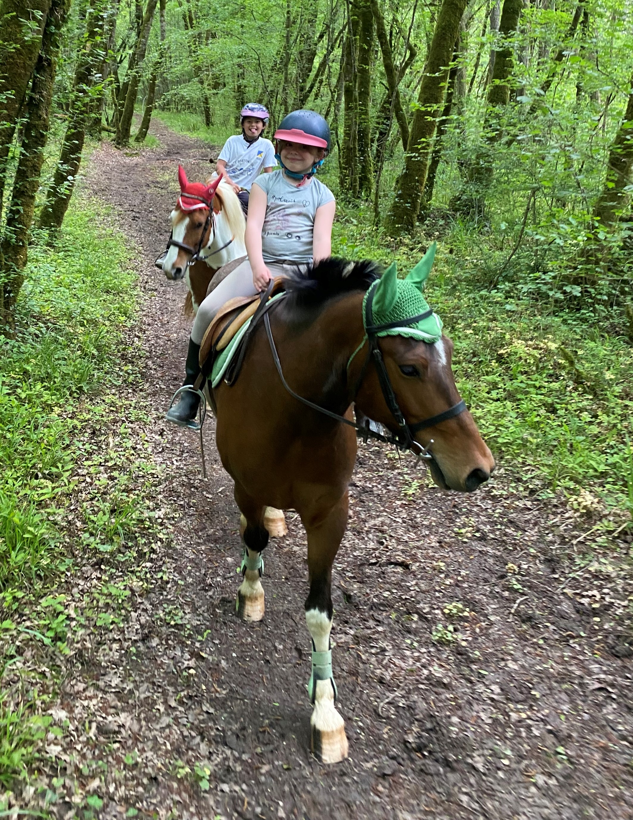 Les Ecuries de la Vallée — photo 3