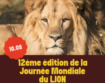Journée internationale du lion